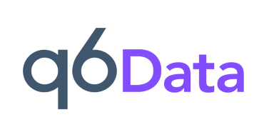 Q6 Data Logo